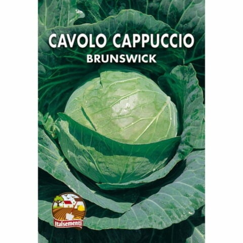 Cavolo cappuccio di Brunswick (Semente)