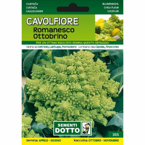 Cavolfiore romanesco ottobrino (Semente)