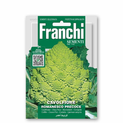 Cavolfiore romanesco precoce (Semente)