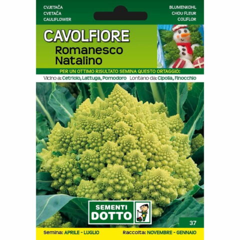 Cavolfiore romanesco natalino (Semente)