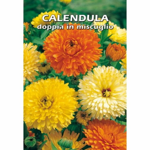 Calendula officinalis doppia in miscuglio (Semente)