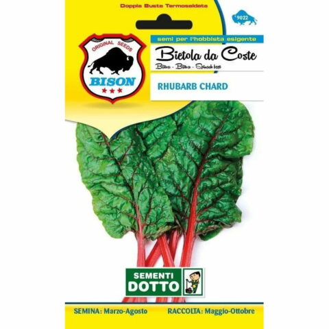 Bietola da Coste Rhubarb Chard (Semente)