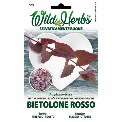 Bietolone rosso (Semente)