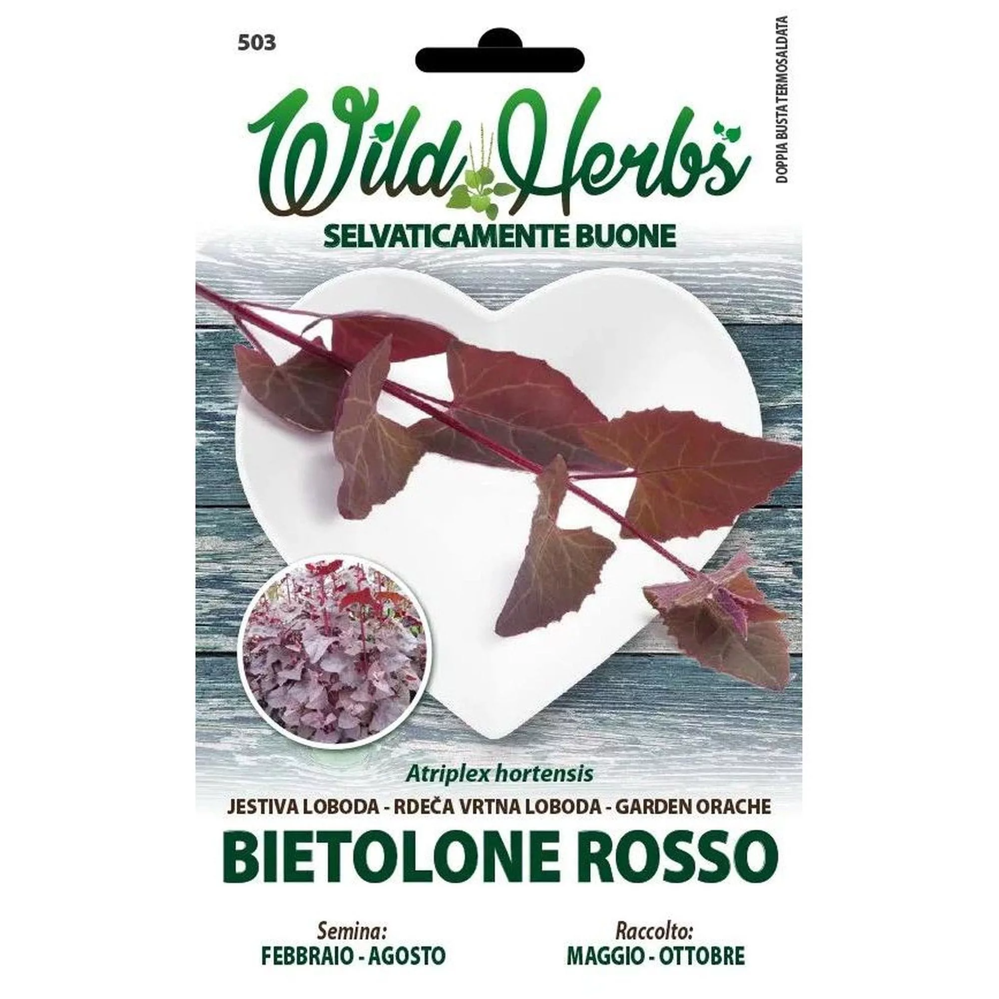 Bietolone rosso (Semente)