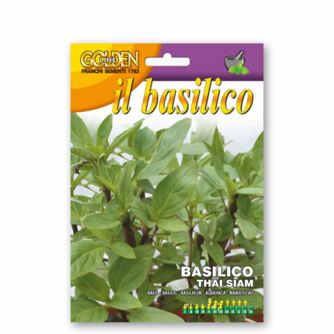 Basilico Thai Siam - tailandese (Semente)