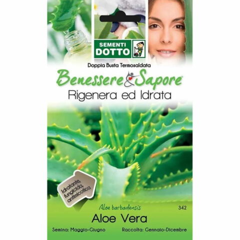 Aloe vera (Semente)