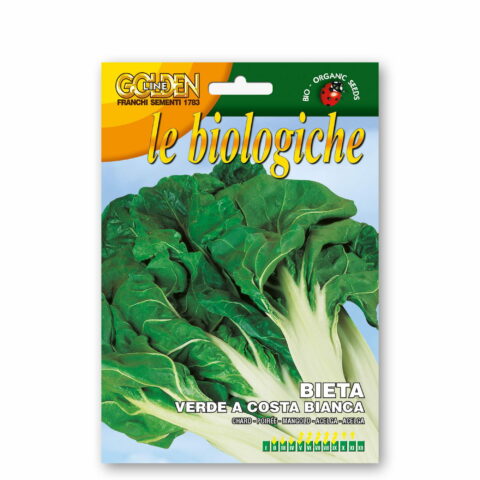 Bietola verde a costa bianca (Semente biologica)