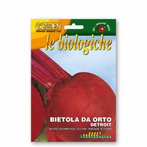 Bietola da orto Detroit (Semente biologica)