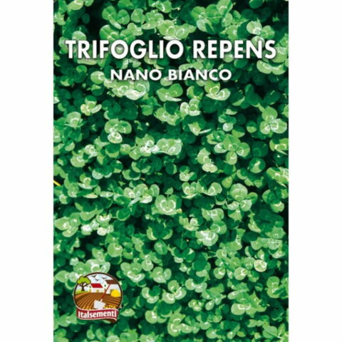 Trifoglio Nano Bianco (Semente)
