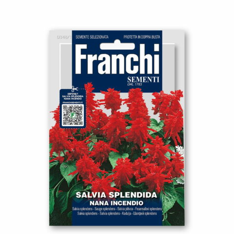 Salviasplendida nana incendio (Semente)