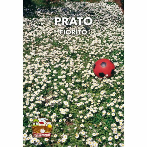 Prato Fiorito (Semente)