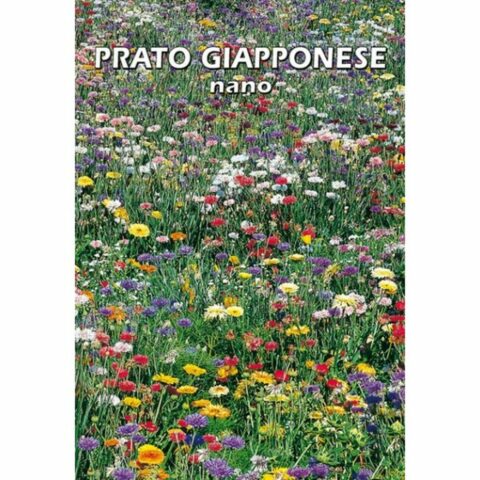 Prato Giapponese nano (Semente)