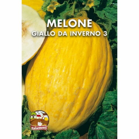 Melone giallo da inverno 3 (Semente)