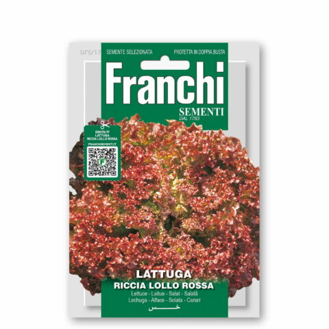 Lattuga riccia lollo rossa (Semente)