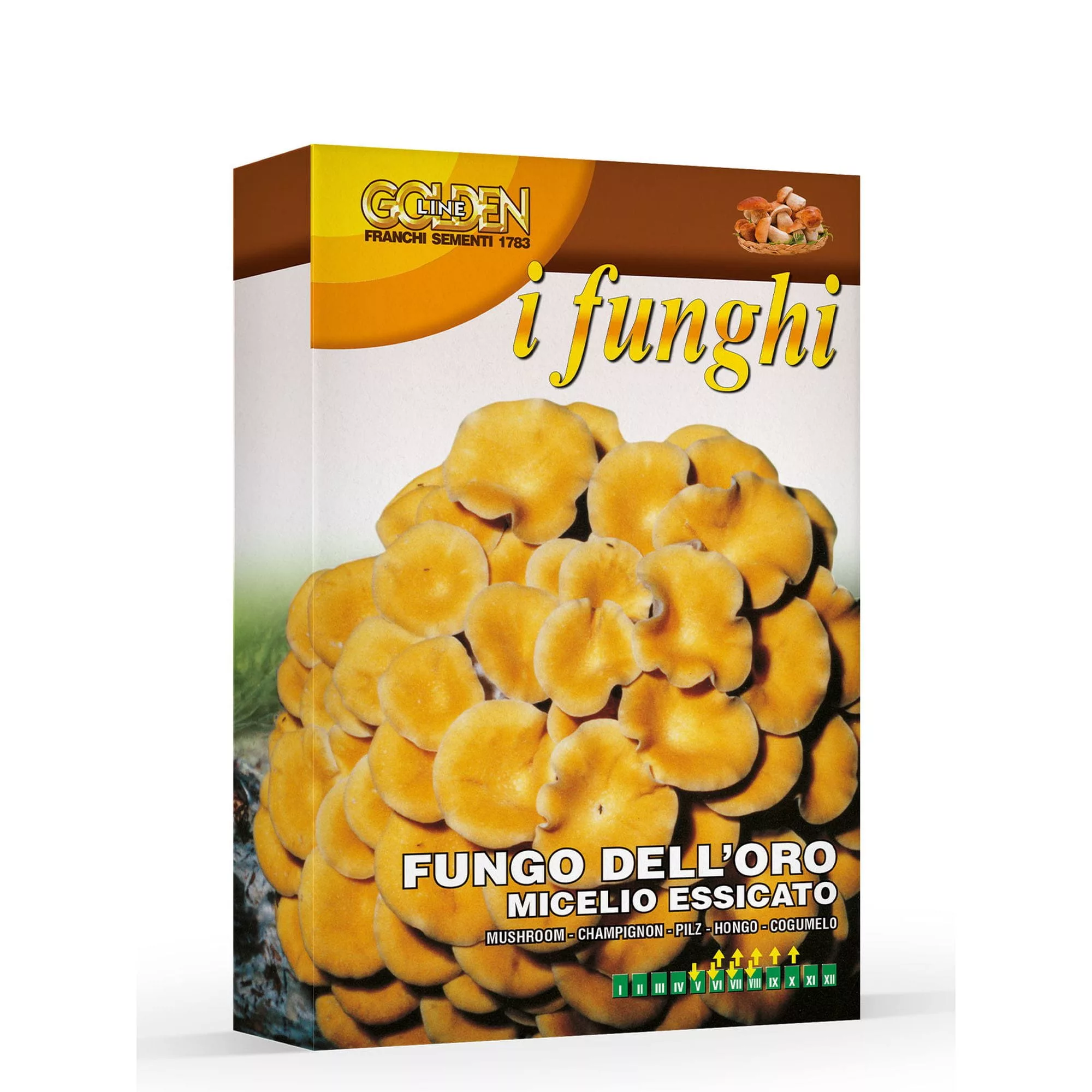 Fungo d'Oro