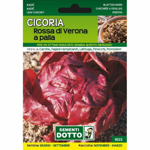 Cicoria rossa di Verona a palla (Semente)