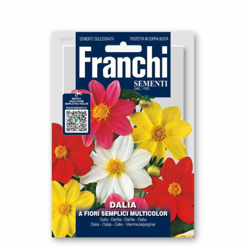 Dalia a fiori semplici multicolor (Semente)