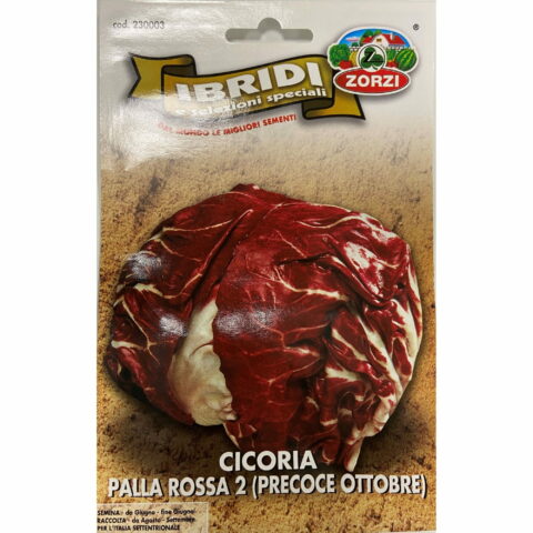 Cicoria palla rossa 2 precoce ottobre (Semente)