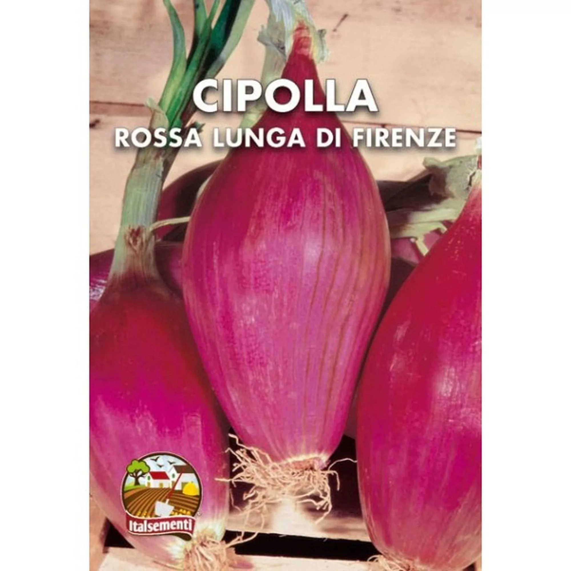 Cipolla rossa lunga di Firenze (Semente)