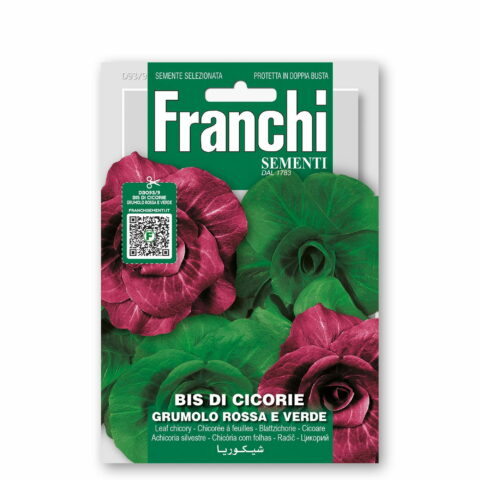 Bis di Cicorie grumolo rossa e verde (Semente)