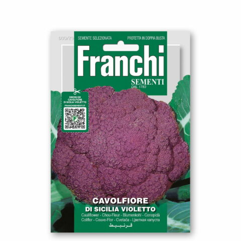 Cavolfiore di Sicilia violetto (Semente)