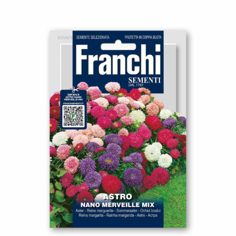 Astro nano merveille in miscuglio (Semente)
