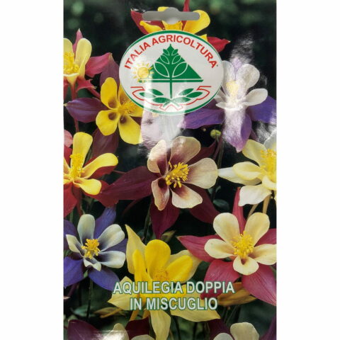 Aquilegia doppia in miscuglio (Semente)