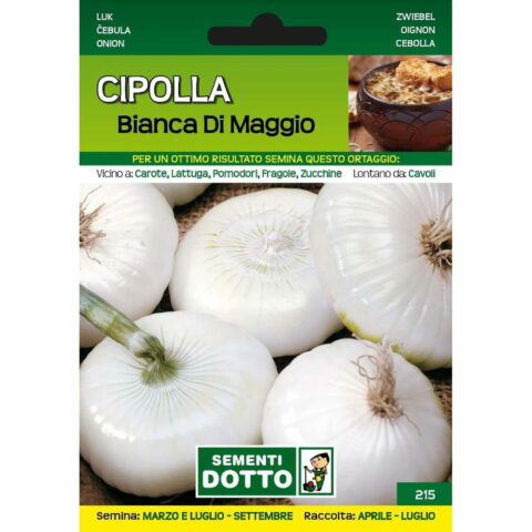 Cipolla bianca di Maggio (Semente)