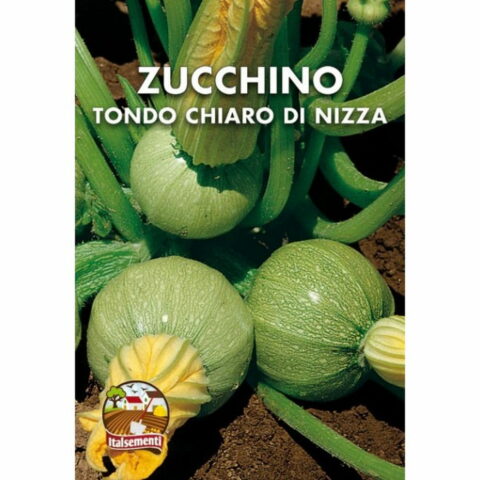 Zucchino tondo chiaro di Nizza (Semente)