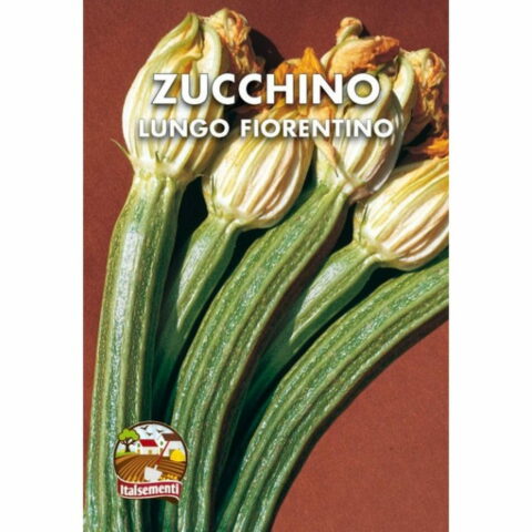 Zucchino lungofiorentino (Semente)