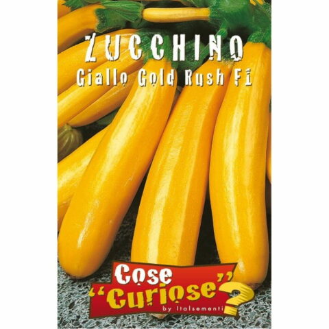 Zucchino giallo Gold Rush F1 (Semente)