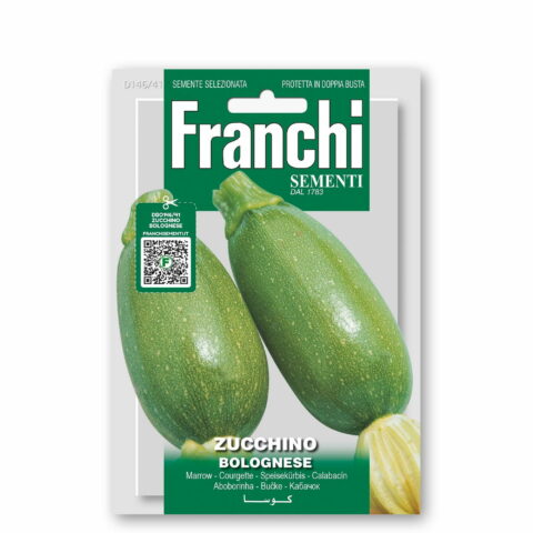 Zucchino bolognese (Semente)
