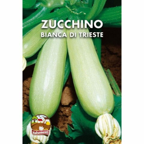 Zucchino bianca di Trieste(Semente)
