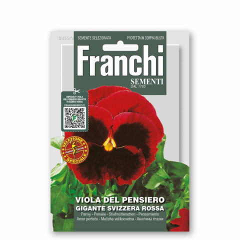 Viola del pensiero gigante svizzera rossa (Semente)