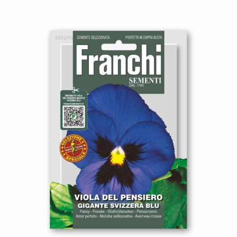 Viola del pensiero gigante svizzera blu (Semente)