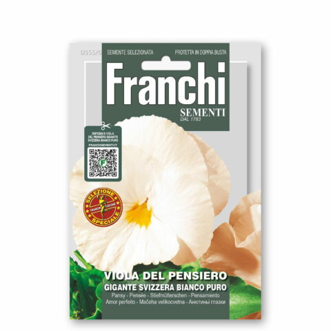 Viola del pensiero gigante svizzera bianco puro (Semente)