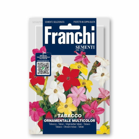 Tabacco ornamentale multicolor (Semente)