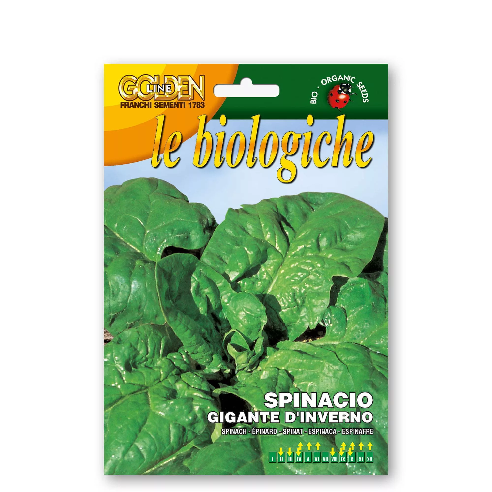 Spinacio gigante d'inverno (Semente biologica)