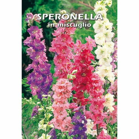 Speronella in miscuglio (Semente)