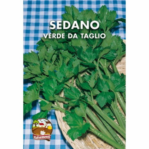 Sedano verde da taglio (Semente)
