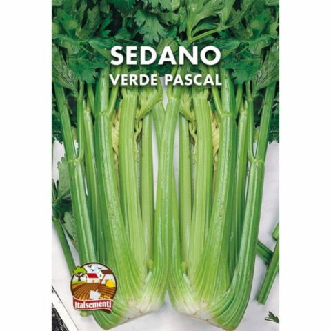 Sedano verdePascal (Semente)