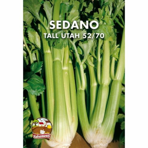 Sedano Tall Utah 52-70 (Semente)