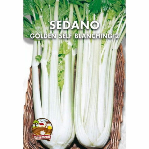 Sedano gigante dorato 2 (Semente)