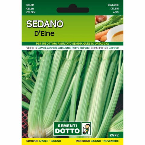 Sedano d'Elne (Semente)
