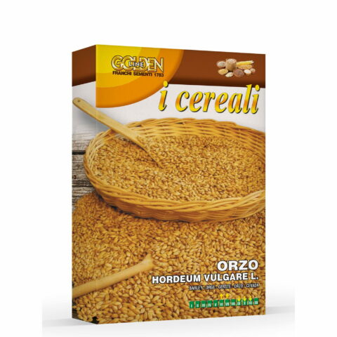 Orzo (Semente in scatola gr 100)