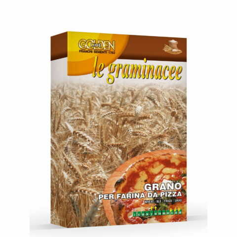 Grano per farina da pizza (Semente in scatola gr 100)