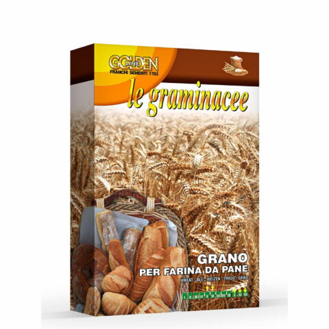 Grano per farina da pane (Semente in scatola gr 100)