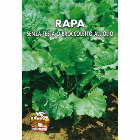 RapaSenza Testa o Broccoletto all'Olio (Semente)