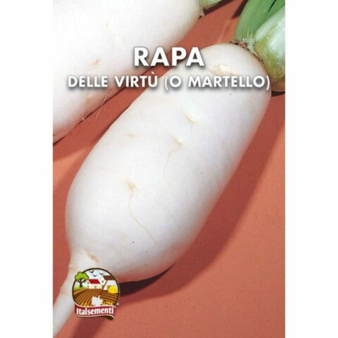 Rapa delle virt o Rapa martello (Semente)