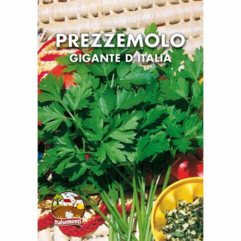 Prezzemolo gigante dItalia (Semente)